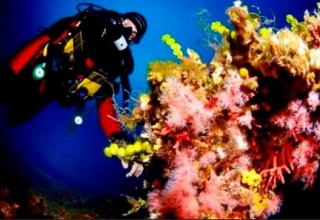  Bautismo con rebreather 